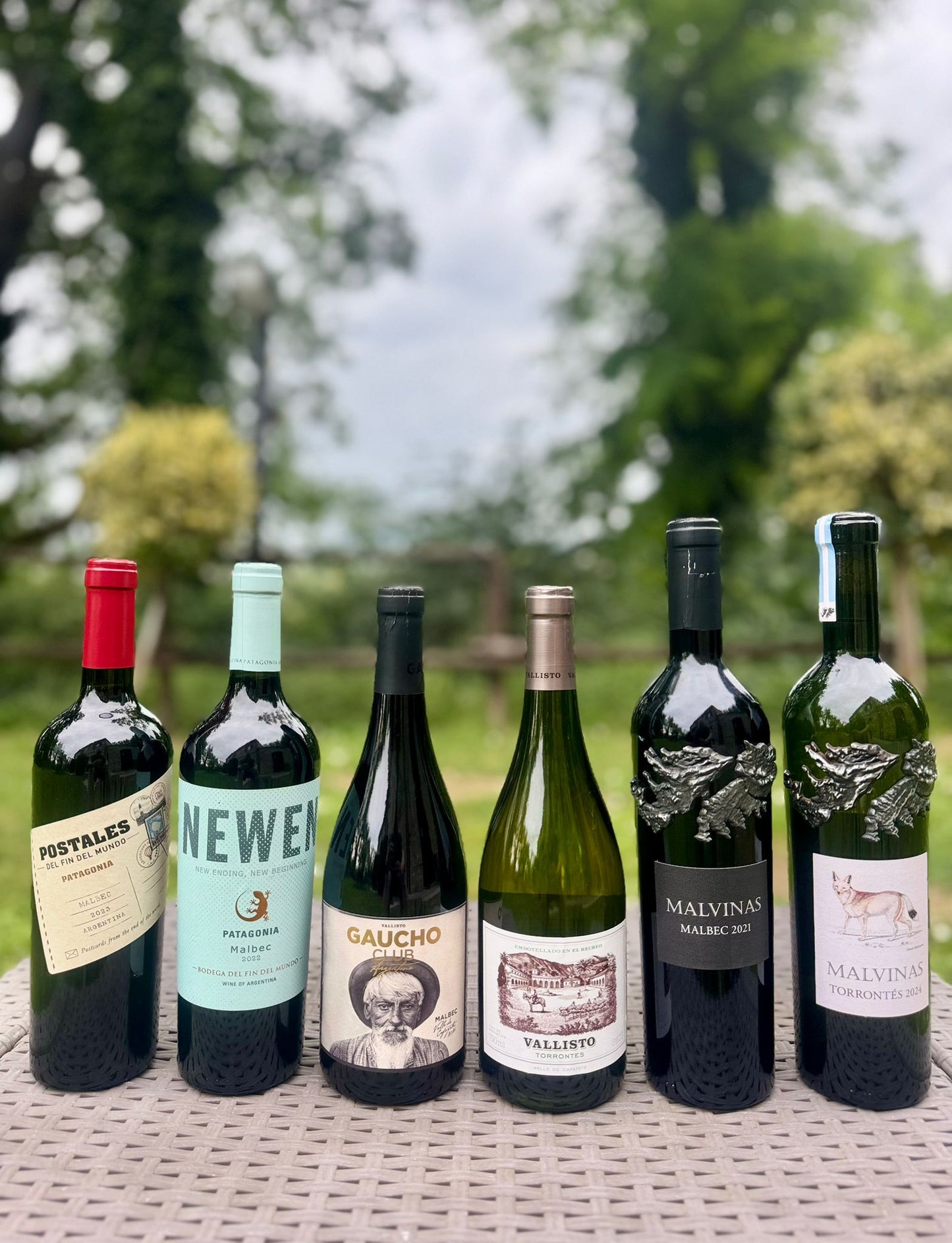 65 - Set Selezione Andina in 6 Bottiglie