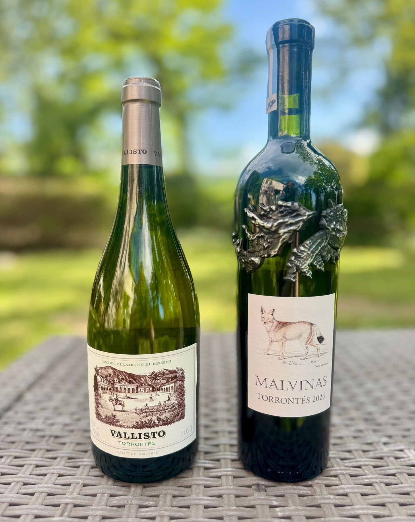 49 - Torrontes Salta Fresco 4 Bottiglie