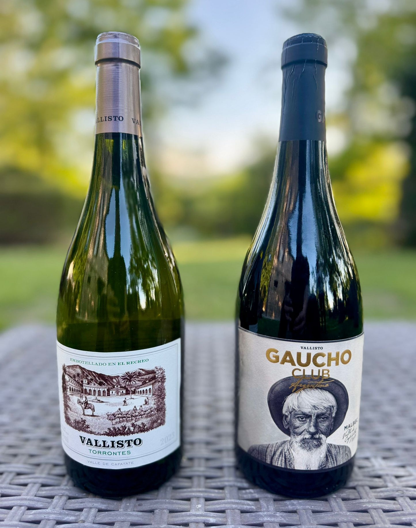 48 - Malbec & Torrontes Vallisto 4 bottiglie