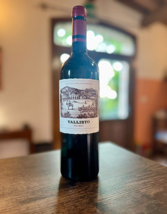 20 - Malbec Vallisto 6 Bottiglie